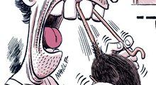 Comed insectos, dice la ONU