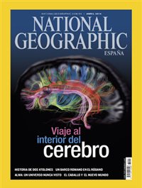 Viaje al interior del Cerebro