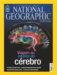 Viagem ao interior do cérebro