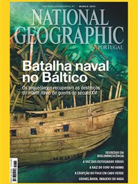 Batalha naval no Báltico