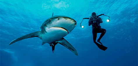 Revista National Geographic España